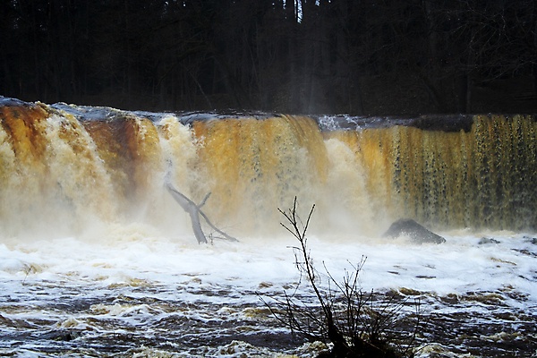 포토 JPG 해외이미지 나무 공원 호수 여행 백그라운드 잎 자연 산 이끼 풍경 사람없음 야외 목재 초록색 물 강 세계 뷰티 계곡 어둠 봄 거품 폭포 안개 가을 바위 연못 개울 떨어짐 숲 언덕 그림 엽서 장면 내추럴 뿌연 삼림지대 해외포토 자연요소 식물 계절 공공시설 컬러 컨셉 재료 날씨 돌_바위 편지 생태계 파일형식 이미지허브