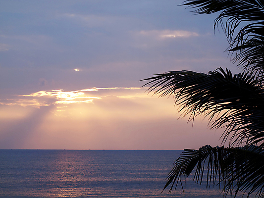 포토 JPG 해외이미지 나무 식물 계절 공원 실루엣 아시아 파도 바다 여행 백그라운드 잎 자연 벽지 하늘 아침 추상 휴가 휴식 손바닥 풍경 사람없음 야외 여름 빛 햇빛 태양 일출 환경 황혼 일몰 새벽 낭만 광선 저녁 즐거움 코코넛 파라다이스 수평선 해외포토 주간 자연요소 손 공공시설 감정 나라 컨셉 무늬 과일 촬영기법 노을 야간 생태계 파일형식 이미지허브