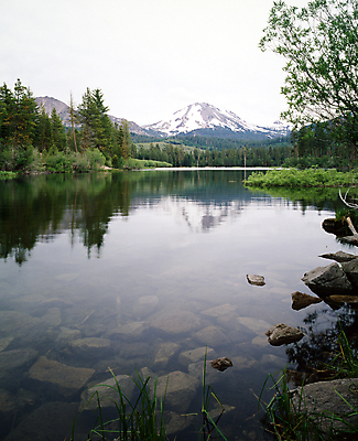 포토 JPG 해외이미지 자연 산 사람없음 반사 숲 절정 해외포토 생태계 파일형식 이미지허브