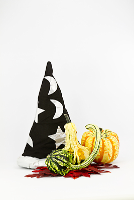 포토 JPG 해외이미지 계절 별 잎 오렌지 자연 휴가 사람없음 빨간색 세로 뷰티 검은색 축제 할로윈 달 가을 축하 은색 흰배경 마법 내추럴 카피스페이스 해외포토 자연요소 식물 컬러 백그라운드 컨셉 과일 공백 흰색 생태계 파일형식 이미지허브