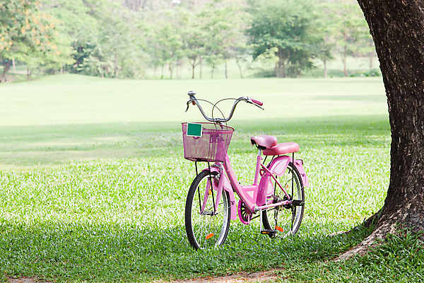 포토 JPG 해외이미지 나무 라이프스타일 공원 스포츠 분홍색 여행 포즈 백그라운드 자연 하늘 휴식 산 건강 사람없음 야외 초록색 자전거 산책 하이킹 시골 바퀴 보호 주차 순환 바이킹 산악자전거 해외포토 식물 공공시설 컬러 컨셉 모션 레저 생활 바이크 생태계 파일형식 이미지허브