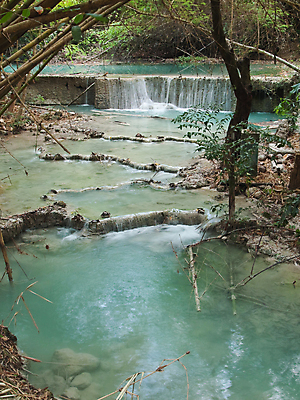 포토 JPG 해외이미지 나무 식물 아시아 여행 태국 자연 동양인 사람없음 물 폭포 개울 숲 작음 대나무 수로 운하 에메랄드 층 내추럴 루트 방법 현재 해외포토 자연요소 나라 컨셉 인종 강 크기 보석 생태계 파일형식 이미지허브