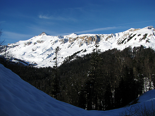 포토 JPG 해외이미지 식물 구름 유럽 여행 겨울 자연 하늘 풍경 사람없음 목재 뷰티 등산 소나무 정상 러시아 암초 절정 해외포토 자연요소 나무 계절 나라 재료 트래킹 생태계 파일형식 이미지허브