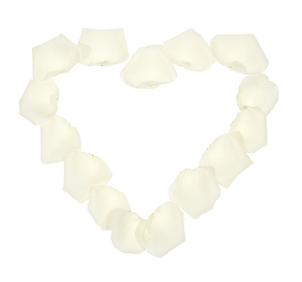 포토 JPG 해외이미지 모양 식물 기념일 꽃잎 꽃 행복 감정 꽃다발 결혼 백그라운드 꽃무늬 패턴 데이트 자연 결혼식 휴가 기념 프레임 발렌타인데이 선물 사랑 사람없음 장식 빨간색 뷰티 장미 낭만 벚꽃 흰색 하트 축하 심볼 질감 열정 초대 약혼 고립 국경 해외포토 컬러 컨셉 무늬 데이이벤트 이벤트 생태계 약속 파일형식 이미지허브