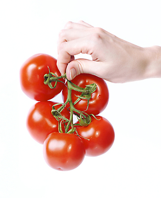 포토 JPG 해외이미지 식물 1 음식 백그라운드 잎 농업 다이어트 토마토 채소 과일 건강 요리 사람없음 빨간색 초록색 정원 보라색 식사 샐러드 수확 흰색 신선 원형 시장 맛 떨어짐 먹기 오브젝트 싱글 유기농 날것 내추럴 고립 숙성 채식주의자 맛있는 해외포토 도형 웰빙 산업 컬러 컨셉 모션 채식 파일형식 이미지허브