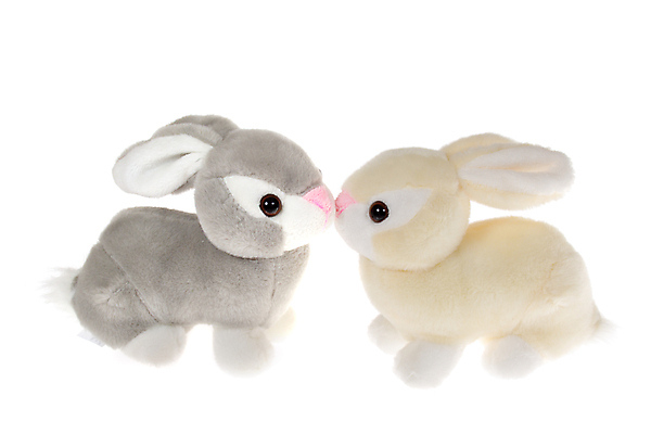 포토 JPG 해외이미지 동물 전통 커플 계절 행복 백그라운드 자연 휴가 부활절 키스 기념 발렌타인데이 사랑 사람없음 장식 반려동물 장난감 축제 봄 흰색 축하 토끼 달콤 4월 오브젝트 기념품 고립 인공 해외포토 기념일 감정 컬러 컨셉 포유류 관계 데이이벤트 날짜 맛 애정표현 생태계 파일형식 이미지허브