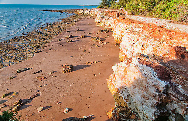 포토 JPG 해외이미지 야생동물 모래 바다 사람없음 물 파란색 태평양 해외포토 자연요소 동물 컬러 파일형식 이미지허브