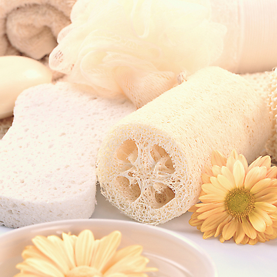 포토 JPG 해외이미지 식물 웰빙 꽃 장신구 건강 사람없음 위생용품 뷰티 사진촬영 스파 목욕 욕실 기구 마사지 오브젝트 스펀지 바디케어 위생관리 정물화 해외포토 생활용품 관리 촬영 청결 그림 파일형식 이미지허브