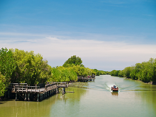 포토 JPG 해외이미지 나무 구름 전통 공원 아시아 여행 잎 밭 교통시설 태국 자연 하늘 휴식 사람 동양인 풍경 사람없음 목재 물 강 여행객 산책로 나뭇가지 물가 보트 개울 숲 강가 크루즈 통로 방콕 함선 운하 장면 승객 방법 해외포토 자연요소 식물 공공시설 나라 길 교통 컨셉 농업 배_교통 재료 인종 시설 생태계 파일형식 이미지허브