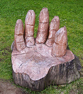 포토 JPG 해외이미지 나무 식물 손가락 자연 창조 사람없음 환경 성장 목각 핸드메이드 해외포토 손 생태계 파일형식 이미지허브