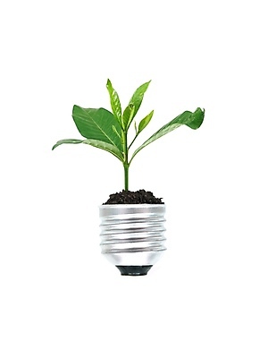 포토 JPG 해외이미지 나무 과학 컨셉 생각 전구 상상 유리 아이디어 실내 창조 사람없음 빛 힘 장비 에너지 성장 흰색 뜨거움 절약 투명 작음 철사 가스 해결 발견 혁명 고립 광 모종 발명 지능 공급 해외포토 식물 컬러 재질 내부 크기 파일형식 이미지허브