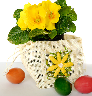 포토 JPG 해외이미지 전통 꽃 종교 휴가 부활절 창조 선물 사람없음 장식 노란색 바구니 계란 페인트 봄 흰색 축하 시간 둥지 다발 심볼 해외포토 식물 계절 기념일 컬러 컨셉 알 파일형식 이미지허브