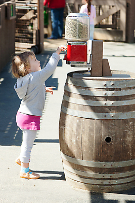포토 JPG 해외이미지 동물 행복 어린이 포유류 자연 호박 염소 동물원 한명 야외 여름 울타리 반려동물 청춘 농장 마을 흰색 시골 아기 군중 작음 호기심 캘리포니아 마야 내추럴 해외포토 1 계절 감정 컬러 컨셉 농업 채소 사람 담장 미국 크기 생태계 마야문명 파일형식 이미지허브