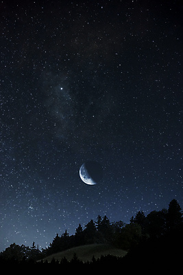 포토 JPG 해외이미지 나무 실루엣 별 밤하늘 사람없음 야외 달 분위기 야간 감성 몽환 해외포토 자연요소 식물 컨셉 하늘 촬영기법 파일형식 이미지허브