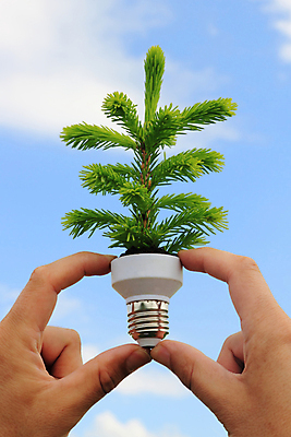 포토 JPG 해외이미지 컨셉 전구 아이디어 사람없음 초록색 빛 태양 환경 재활용 에너지 흰색 절약 그린에너지 보호 에코 자원 해결 발명 생태학 효율 해외포토 자연요소 교육 컬러 친환경 파일형식 이미지허브