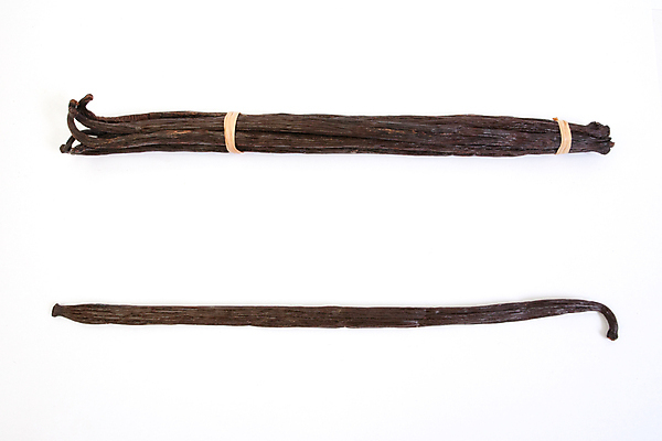 포토 JPG 해외이미지 음식 백그라운드 자연 디저트 콩 요리 씨앗 사람없음 갈색 어둠 흰색 달콤 맛 굽기 먹기 향신료 아로마 내추럴 고립 꼬투리 마다가스카르 바닐라 버번 맛있는 해외포토 식물 컬러 컨셉 모션 곡류 구이 생태계 향미료 파일형식 이미지허브