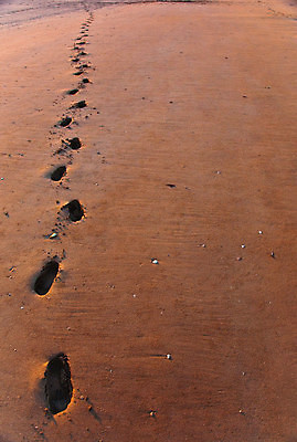 포토 JPG 해외이미지 모래 바다 여행 백그라운드 자연 풍경 사람없음 빨간색 사막 호주 발자국 모래언덕 영토 북쪽 해외포토 컬러 자국 오세아니아 방향 언덕 생태계 파일형식 이미지허브