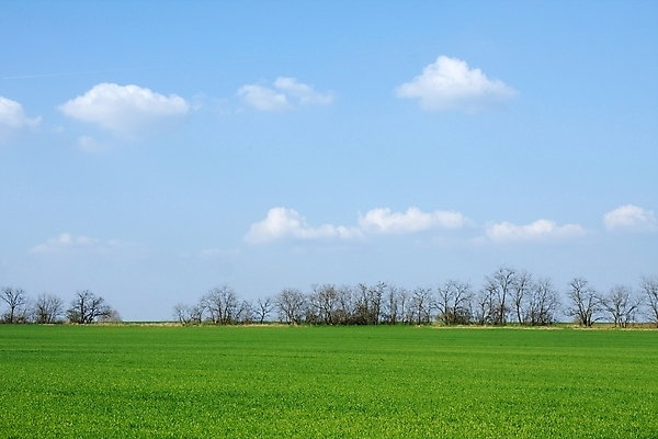 포토 JPG 해외이미지 나무 식물 구름 공원 백그라운드 밭 농업 자연 하늘 휴가 풍경 잔디 초원 사람없음 야외 초록색 파란색 빛 평화 우주 환경 맑음 봄 기쁨 자유 가을 흰색 전원 시골 오픈 땅 언덕 심플 장면 강렬 수평선 해외포토 자연요소 계절 공공시설 감정 산업 컬러 컨셉 날씨 전기에너지 생태계 파일형식 이미지허브