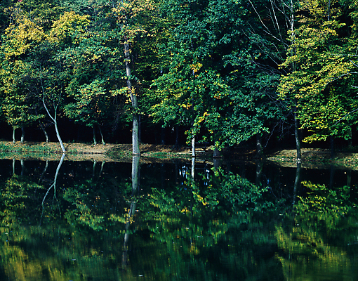 포토 JPG 해외이미지 계절 유럽 호수 자연 사람없음 가을 숲 헝가리 해외포토 나라 생태계 동유럽 파일형식 이미지허브