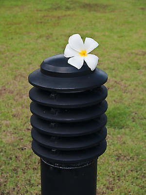 포토 JPG 해외이미지 식물 디자인 꽃잎 꽃 꽃무늬 가로등 자연 휴식 잔디 사람없음 장식 초록색 여름 빛 뷰티 노란색 환경 정원 봄 낭만 벚꽃 흰색 램프 정상 내추럴 해외포토 계절 공공시설 컬러 컨셉 무늬 조명 생태계 파일형식 이미지허브