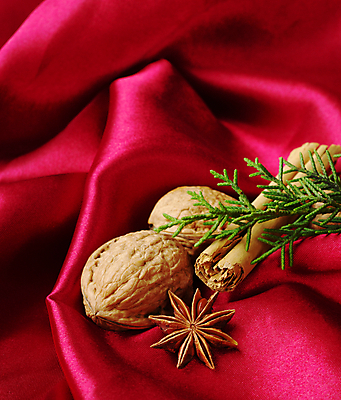 포토 JPG 해외이미지 크리스마스 휴가 사람없음 빨간색 세로 초록색 갈색 견과류 나뭇가지 직물 천 향신료 호두 상록수 시나몬 해외포토 나무 기념일 컬러 향미료 파일형식 이미지허브