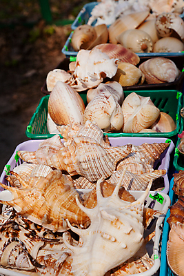 포토 JPG 해외이미지 외관 계절 도로 여행 비즈니스 거리 서기 사람없음 장식 여름 쇼핑 컬러풀 판매 세일 여행객 우주 상점 도시 센터 구매 고객 상업 쇼 장면 소매 폴란드 해외포토 유럽 길 컬러 교통시설 모션 사람 파일형식 이미지허브
