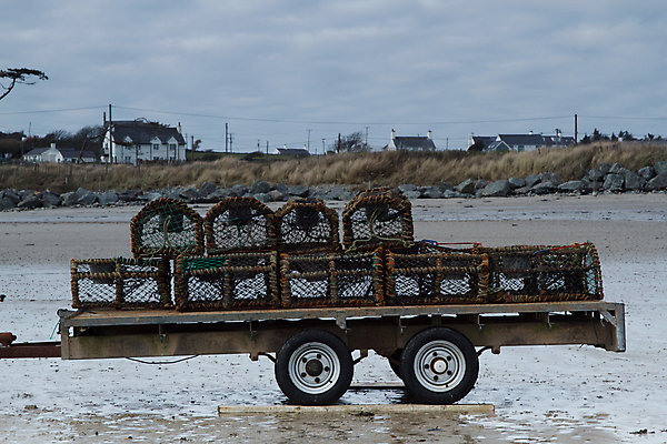포토 JPG 해외이미지 모래 하늘 낚시 조개 사람없음 게 바퀴 냄비 바닷가재 해산물 트레일러 해외포토 레저 어패류 갑각류 솥 가재 파일형식 이미지허브