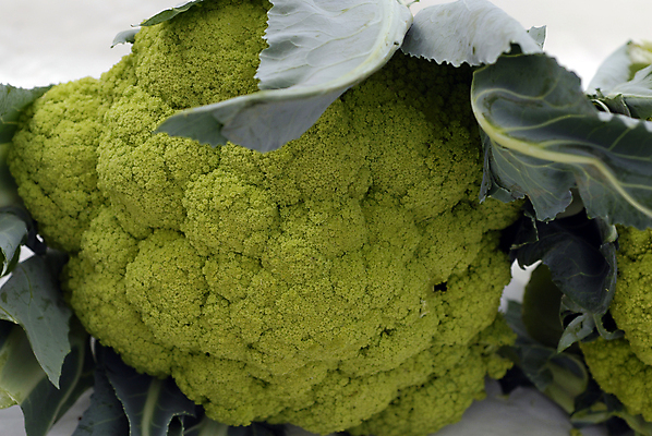 포토 JPG 해외이미지 음식 잎 다이어트 채소 과일 자연 건강 요리 사람없음 초록색 주방 정원 신선 먹기 채식주의자 해외포토 식물 컬러 모션 생태계 채식 파일형식 이미지허브