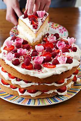 포토 JPG 해외이미지 음식 과일 디저트 사탕 사람없음 파티 케이크 축하 컵케이크 크림 맛있는 해외포토 컨셉 이벤트 파일형식 이미지허브