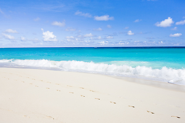 포토 JPG 해외이미지 외관 모래 파도 바다 섬 여행 발 자연 휴가 풍경 해변 사람없음 야외 여름 미국 침묵 고요 만 세계여행 중앙아메리카 고독 인쇄 발자국 조용 카리브해 내추럴 서인도제도 양발 이국적 파라다이스 해외포토 계절 감정 북아메리카 자국 아메리카 신체부위 세계 소리 생태계 파일형식 이미지허브