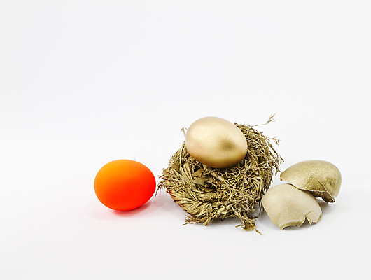 포토 JPG 해외이미지 비즈니스 사람없음 빨간색 금융 경제 계란 저축 껍질 황금 둥지 계획 투자 문제 깨짐 연금 포트폴리오 해외포토 컬러 컨셉 알 파일형식 이미지허브