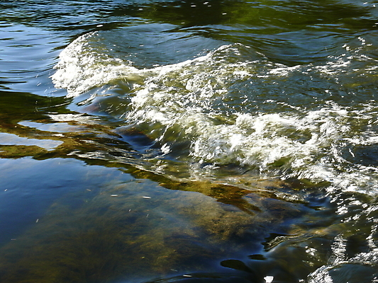 포토 JPG 해외이미지 주간 호수 스포츠 파도 여행 포즈 백그라운드 모션 자연 조류 날씨 사람없음 야외 초록색 물 파란색 강 햇빛 반사 환경 거품 젖음 액체 개울 떨어짐 격파 해외포토 자연요소 동물 바다 컬러 컨셉 태양 생태계 파일형식 이미지허브