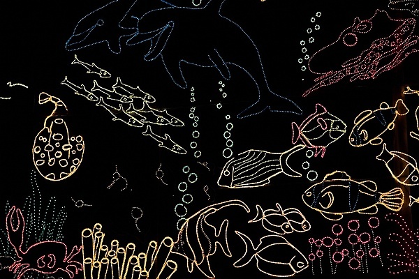 포토 JPG 해외이미지 바다 백그라운드 컨셉 일러스트 낚시 사람없음 물 파란색 빛 수중 시장 네온 수족관 빛망울 광 해외일러스트 자연요소 컬러 레저 파일형식 이미지허브