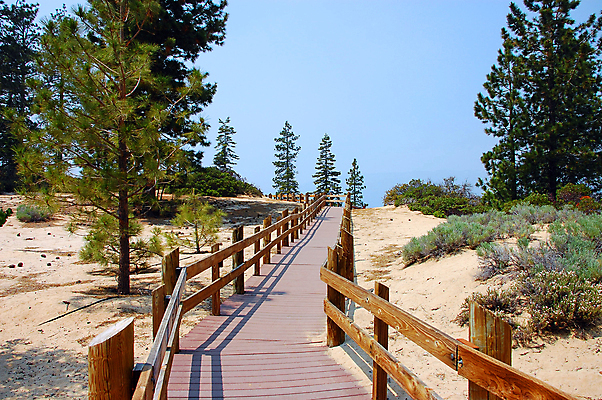 포토 JPG 해외이미지 나무 공원 길 모래 자국 자연 풍경 사람없음 야외 여름 울타리 하이킹 해외포토 식물 계절 공공시설 레저 담장 생태계 파일형식 이미지허브