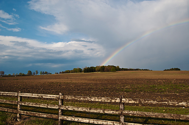 포토 JPG 해외이미지 나무 무지개 밭 자연 하늘 날씨 사람없음 야외 가로 컬러풀 농장 시골 해외포토 자연요소 식물 컬러 농업 생태계 파일형식 이미지허브
