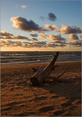 포토 JPG 해외이미지 구름 백그라운드 자연 하늘 날씨 풍경 사람없음 야외 초록색 여름 파란색 햇빛 우주 환경 맑음 침묵 자유 전원 장면 해외포토 자연요소 계절 컬러 컨셉 태양 소리 전기에너지 생태계 파일형식 이미지허브