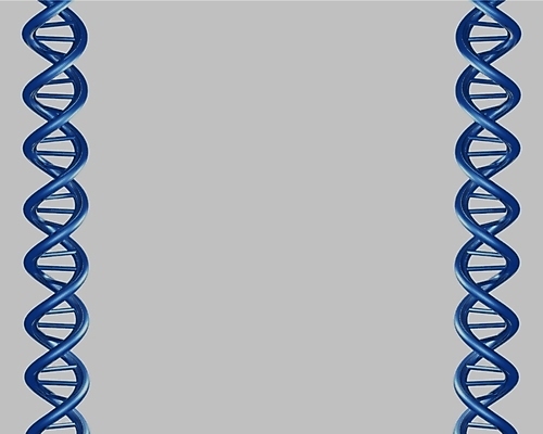 포토 JPG 해외이미지 모양 과학 일러스트 세포 나선형 건강 사람 사람없음 파란색 약 금속 회색 진화 바이러스 암호 DNA 생물학 만들기 염색체 더블 신맛 유전 국경 해외일러스트 교육 컬러 무늬 의학 모션 재질 맛 생명공학 소방 파일형식 이미지허브