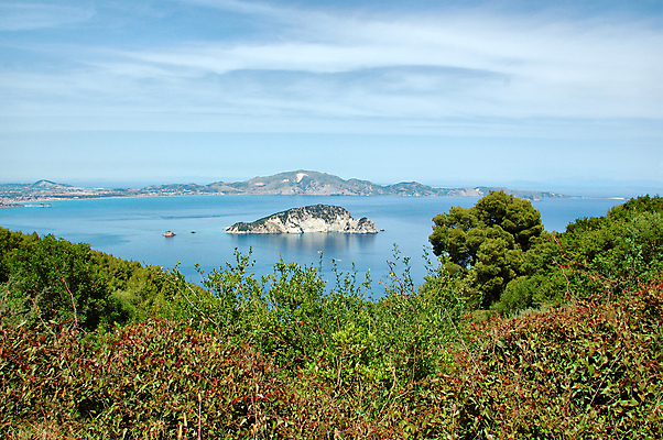 포토 JPG 해외이미지 나무 계절 공원 유럽 바다 섬 여행 자연 하늘 휴가 산 파노라마 해변 사람없음 야외 물 파란색 햇빛 태양 반사 여행객 행운 거북이 지중해 그리스 언덕 그리스인 내추럴 수평선 해외포토 자연요소 서양인 식물 공공시설 나라 컬러 컨셉 파충류 촬영기법 사람 생태계 파일형식 이미지허브