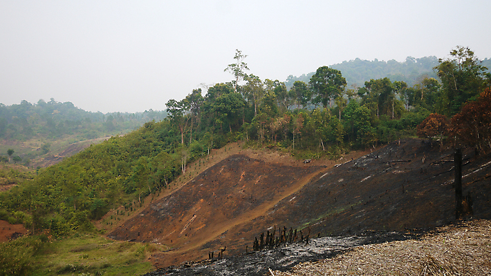 포토 JPG 해외이미지 나무 아시아 농업 태국 불 산 사람없음 농경지 환경 손상 오염 숲 언덕 지구온난화 연소 밭일 재 재앙 화상 해외포토 자연요소 식물 나라 산업 컨셉 농장 상처 기후변화 파일형식 이미지허브