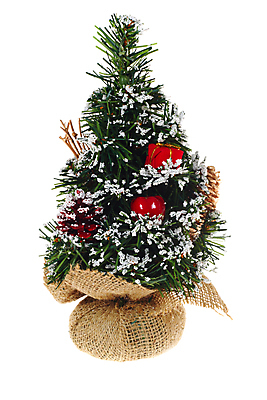 포토 JPG 해외이미지 나무 계절 꽃 별 줄 크리스마스 겨울 장신구 공 창문 휴가 선물 사람없음 목재 장식 반짝임 흰색 축하 황금 활 고립 해외포토 자연요소 식물 기념일 컬러 컨셉 재료 모션 파일형식 이미지허브