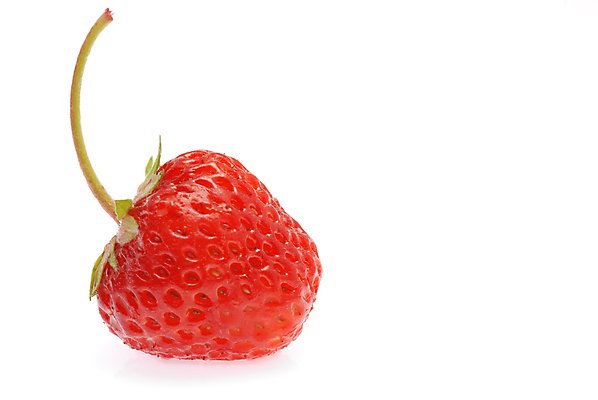 포토 JPG 해외이미지 식물 열매 음식 백그라운드 농업 채소 과일 재료 자연 딸기 디저트 건강 씨앗 사람없음 빨간색 여름 농작물 뷰티 활발 흰색 전원 신선 달콤 아침식사 먹기 오브젝트 싱글 상쾌 유기농 날것 고립 숙성 전경 완전 해외포토 웰빙 계절 감정 산업 컬러 컨셉 모션 풍경 식사 맛 전기에너지 생태계 파일형식 탑뷰 이미지허브