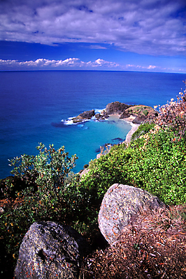 포토 JPG 해외이미지 식물 모자 공원 바다 여행 자연 웨일즈 새로움 풍경 사람없음 야외 물 햇빛 머리 환경 활발 만 호주 장면 태평양 남쪽 내추럴 감탄 생태학 전국 해외포토 자연요소 잡화 공공시설 교육 컨셉 영국 신체부위 태양 오세아니아 방향 생태계 파일형식 이미지허브