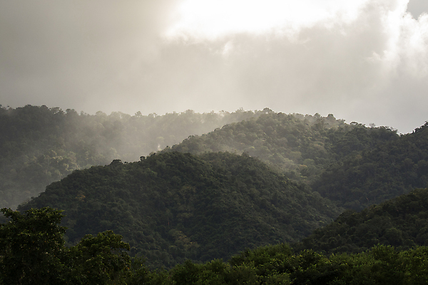 포토 JPG 해외이미지 나무 구름 공원 아시아 여행 백그라운드 태국 자연 하늘 아침 산 풍경 사람없음 야외 초록색 여름 파란색 햇빛 태양 뷰티 일출 환경 일몰 가을 숲 언덕 장면 내추럴 해외포토 주간 자연요소 식물 계절 공공시설 나라 컬러 노을 생태계 파일형식 이미지허브