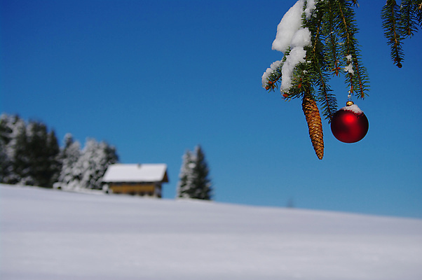 포토 JPG 해외이미지 나무 식물 1 전통 계절 백그라운드 크리스마스 겨울 공 자연 휴가 기념 사람없음 야외 장식 빨간색 크리스마스트리 평화 축제 장식볼 추위 흰색 나뭇가지 소나무 원형 눈송이 고독 12월 묘사 싱글 침엽수 전나무 원뿔 강렬 노엘 눈내림 해외포토 도형 기념일 감정 컬러 컨셉 눈_날씨 날짜 생태계 파일형식 이미지허브