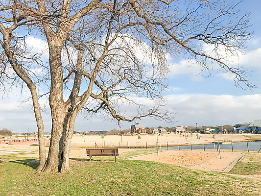 포토 JPG 해외이미지 나무 식물 계절 공원 실루엣 길 잎 겨울 벤치 의자 자연 하늘 날씨 휴식 미술 풍경 잔디 초원 사람없음 야외 목재 햇빛 갈색 평화 환경 정원 미국 침묵 일몰 추위 가을 나뭇가지 전원 숲 큼 오솔길 장면 나무껍질 내추럴 벌거벗은 텍사스 해외포토 공공시설 컬러 가구 컨셉 북아메리카 재료 문화예술 촬영기법 태양 노을 소리 껍질 전기에너지 크기 생태계 파일형식 이미지허브