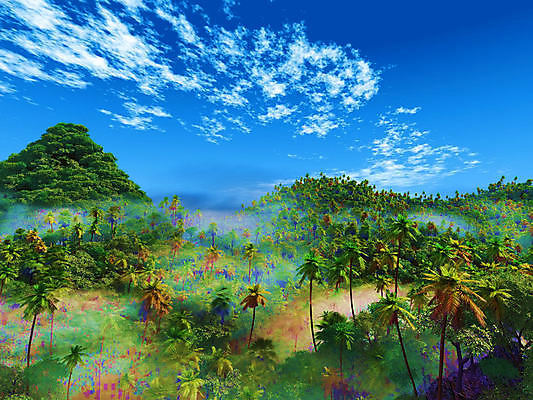 포토 JPG 해외이미지 나무 섬 여행 백그라운드 일러스트 자연 하늘 손바닥 창조 사람없음 햇빛 태양 일출 환경 일몰 해외일러스트 자연요소 식물 손 노을 생태계 파일형식 이미지허브