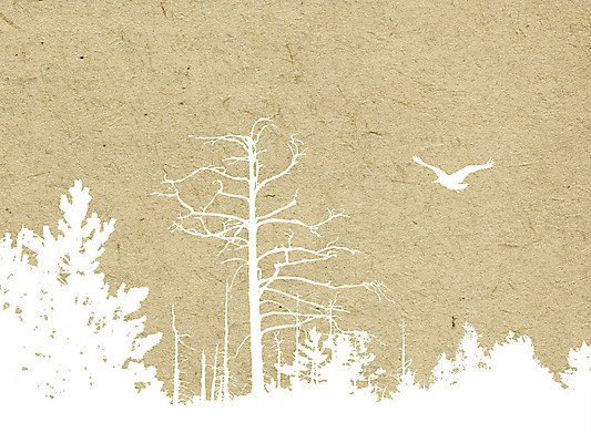 포토 JPG 해외이미지 나무 동물 백그라운드 자연 조류 표면 추상 프레임 사람없음 목재 책 물 노란색 쪽지 공백 수확 골동품 덮개 점 얼룩 실 숲 질감 문서 캔버스 페이지 고정 찢어짐 구식 그런지 보관소 보유 옛날 원고 노화 해외포토 자연요소 식물 컬러 컨셉 무늬 농업 재료 모션 뚜껑 저장 생태계 파일형식 이미지허브