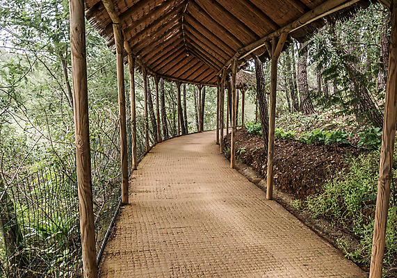 포토 JPG 해외이미지 나무 계절 공원 길 지구 백그라운드 잎 배낭 자국 자연 지붕 미술 사람없음 야외 목재 갈색 평화 봄 판넬 숲 오솔길 땅 상록수 내추럴 해외포토 식물 공공시설 컬러 컨셉 가방 재료 문화예술 생태계 파일형식 이미지허브