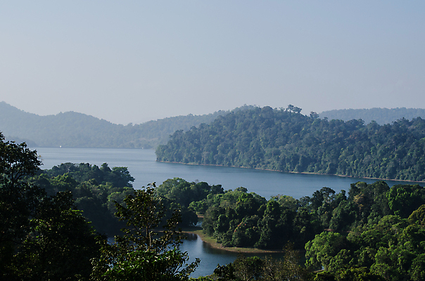 포토 JPG 해외이미지 나무 호수 백그라운드 자연 산 안테나 파노라마 사람없음 옆모습 초록색 물 강 계곡 흐름 개울 급류 정상 숲 댐 언덕 장면 암초 해외포토 자연요소 식물 공공시설 뷰포인트 컬러 컨셉 통신 촬영기법 생태계 파일형식 이미지허브