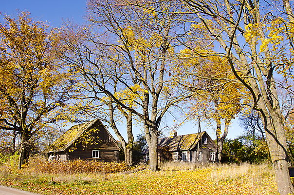 포토 JPG 해외이미지 나무 계절 공원 유럽 여행 백그라운드 단풍 잎 건축양식 자연 주택 사람없음 야외 뷰티 노란색 마을 나뭇가지 시골 역사 황금 10월 내추럴 옛날 해외포토 식물 공공시설 건축 나라 컬러 건물 날짜 생태계 파일형식 이미지허브